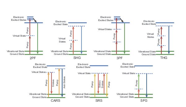 Energy level diagrams for popular multiphoton imaging techniques