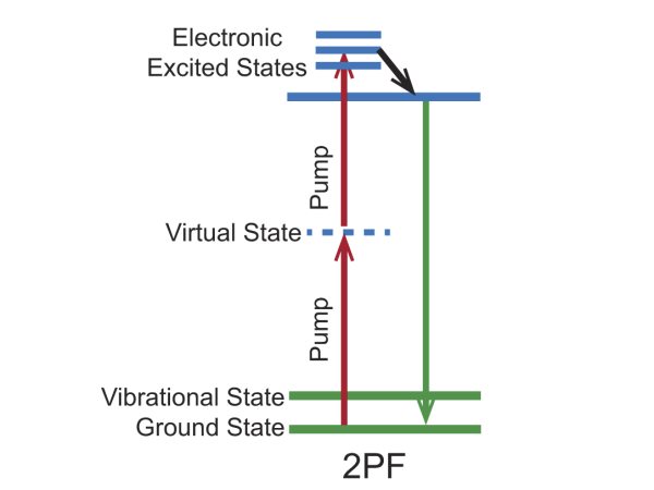 Energy level diagram for the 2PF imaging mechanism