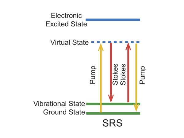 Energy level diagram for the SGH mechanism